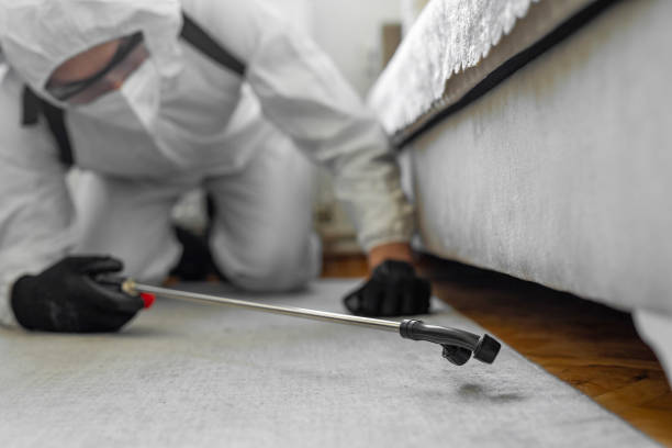 Professional Termite Control technician working in Barrett, TX