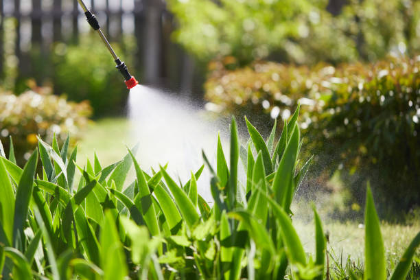 24/7 Emergency Termite Control experts in Barrett, TX