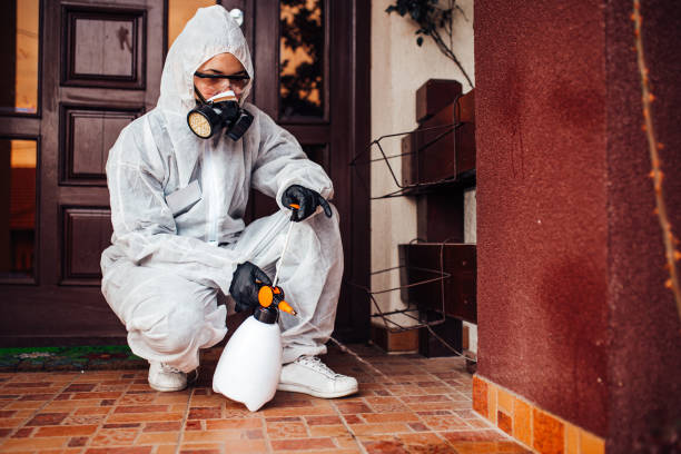 Reliable Termite Control contractor in Barrett, TX by Nex Pest Control