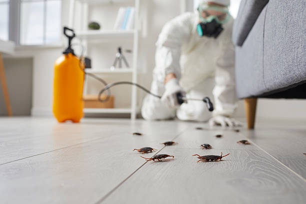 Affordable Termite Control solutions in Barrett, TX